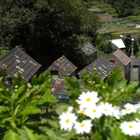 Holiday home Art-house Porto Moniz